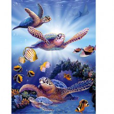STEVE SUNDRAM MAXI GREETING CARD Turtle in Light
